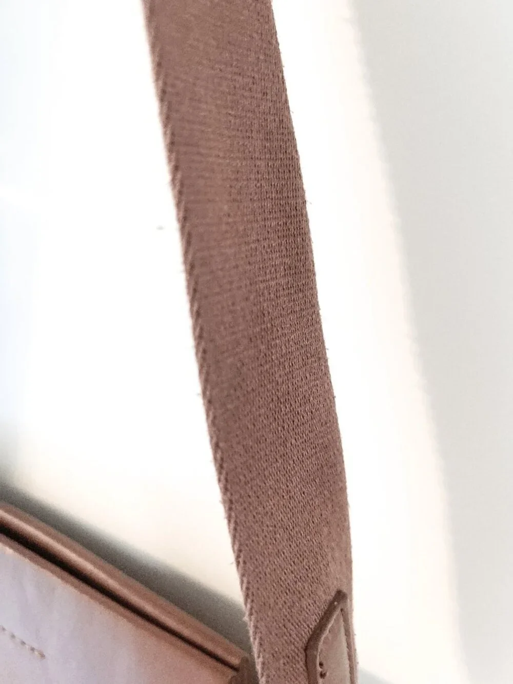 Everlane The Form Mini Bag Crossbody Cognac Brown